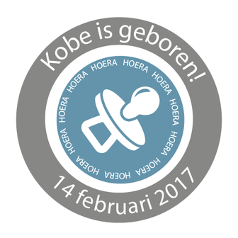 Geboortesticker Fullcolor Speen Jongen