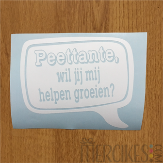 vragen peettante goedkoop, leuke manier diy peettante vragen