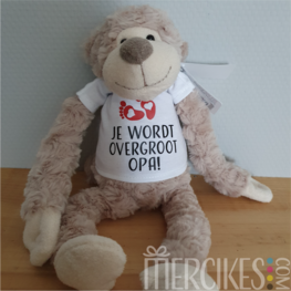 Aapje - Overgrootopa/overgrootvader
