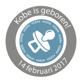 Geboortesticker Fullcolor Speen Jongen